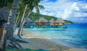 A Paradise for Holiday A Paradise for Holiday