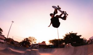 Bald hedgehog returns to wild after growing spines