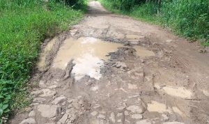 Bendum AWIBB Menyayangkan Masih Ada Jalanan Desa Masih Jelek Tidak Tersentuh dan Di Perhatikan Oleh Pemerintahan Setempat