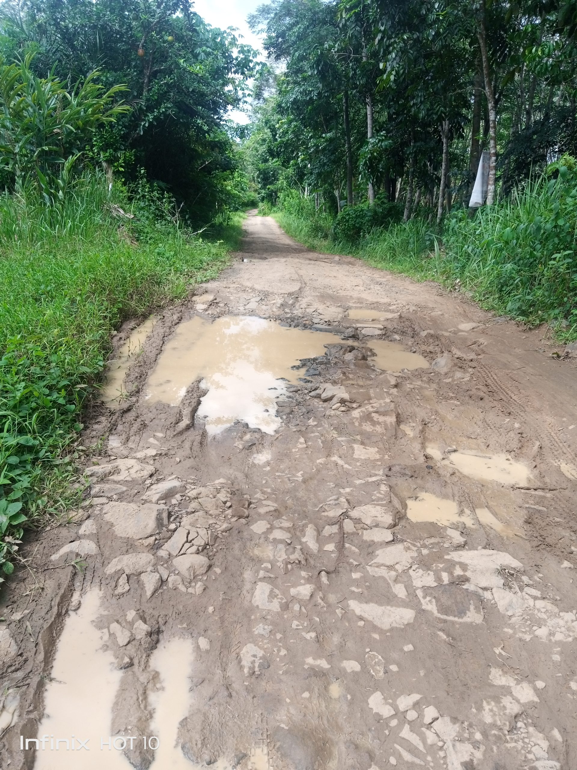 Bendum AWIBB Menyayangkan Masih Ada Jalanan Desa Masih Jelek Tidak Tersentuh dan Di Perhatikan Oleh Pemerintahan Setempat