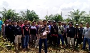 Segera Tindak Tegas PT.Cus yang Melanggar Masyarakat Adat Dan Pemerintah