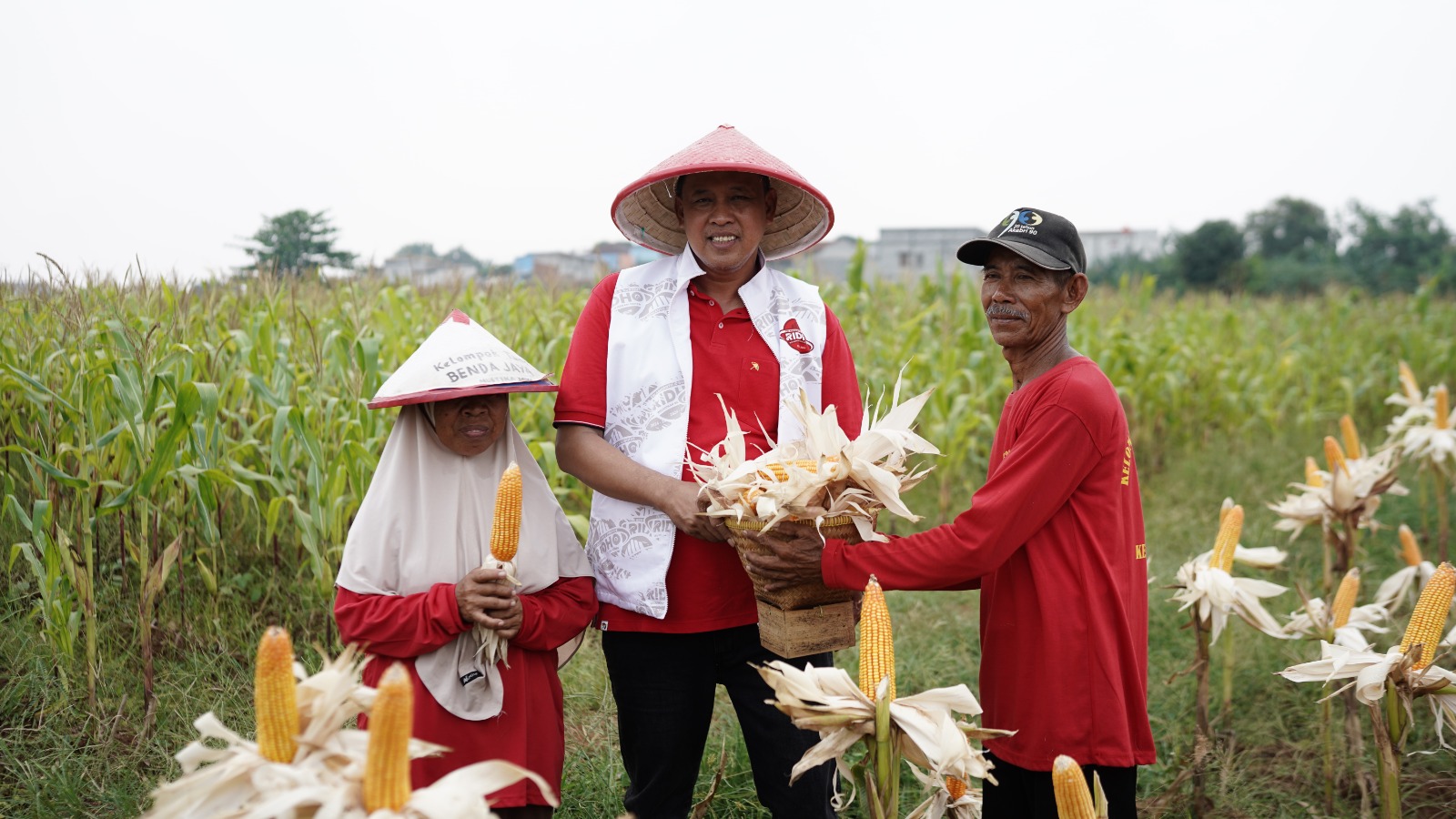 Hadiri Panen Raya Jagung, Tri Adhianto Didaulat Cawalkot Paling Peduli Petani