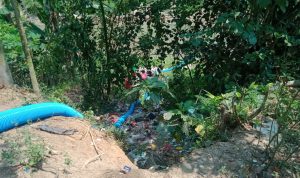 Parah Ketua Kolompok Tani Desa Sangiangtanjung Tak Bayar Upah Pekerja