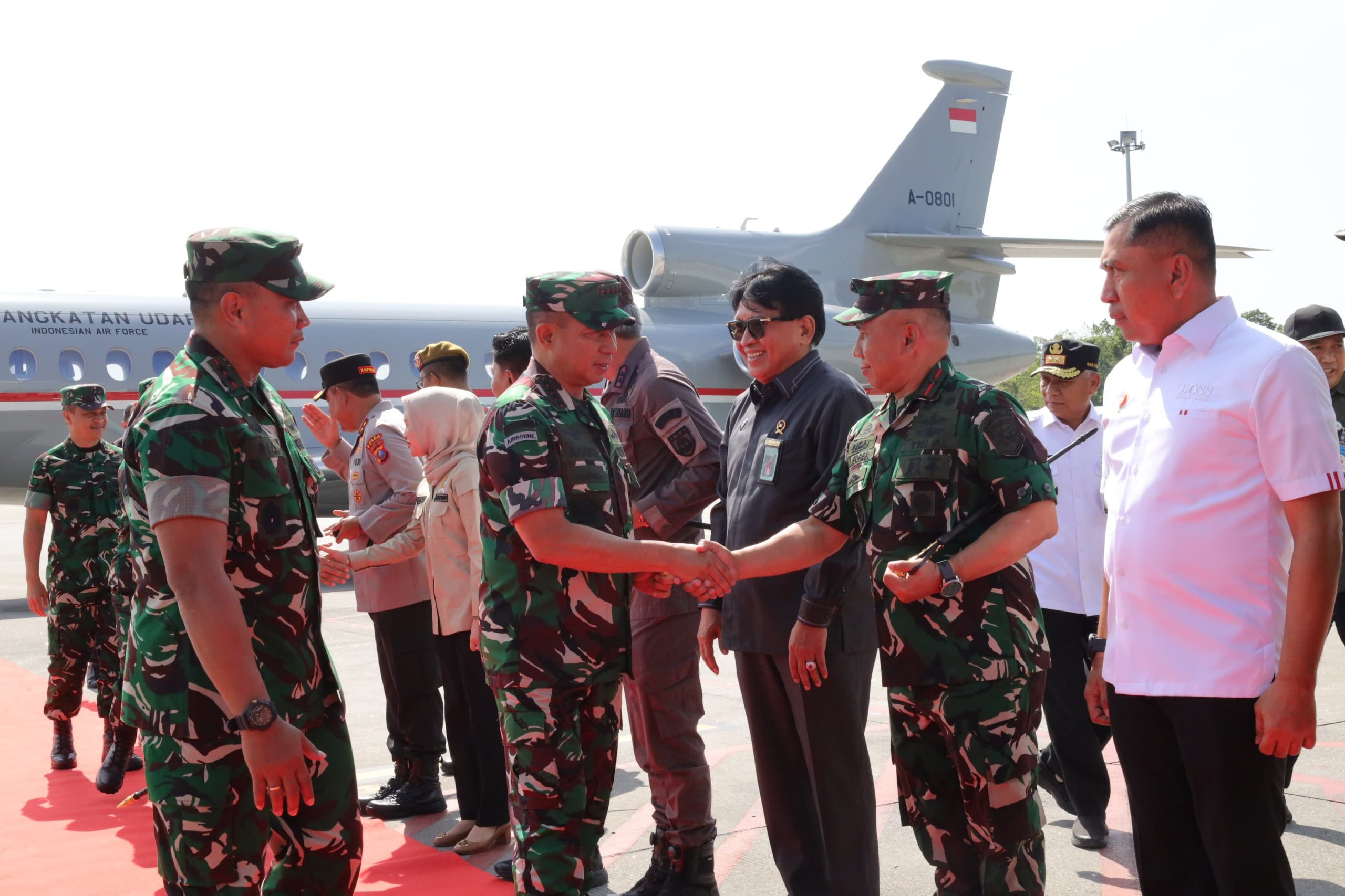 Dukung Program Ketahanan Pangan, Danlantamal I Hadiri Panen Raya Padi Bersama Panglima TNI