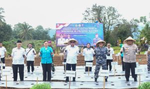 Sinergi Kodaeral IX Ambon, Pemerintah Daerah, dan Lintas Iinstansi Dorong Ketahanan Pangan Melalui Gerakan Tanam Serentak Cabai dan Kedelai