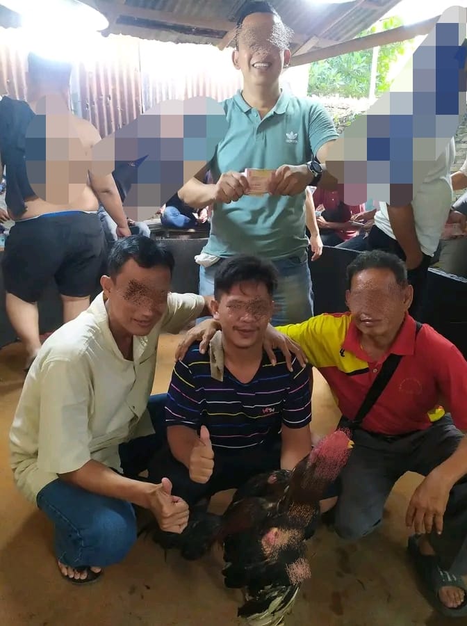 Judi Sabung Ayam Milik Rudi Dekat Sampang AL-Maksum Kec. Stabat Kebal Hukum Diduga Kapolsek Terima Setoran Warga Minta Kapolda Kapolres Langkat Tindak Tegas !!