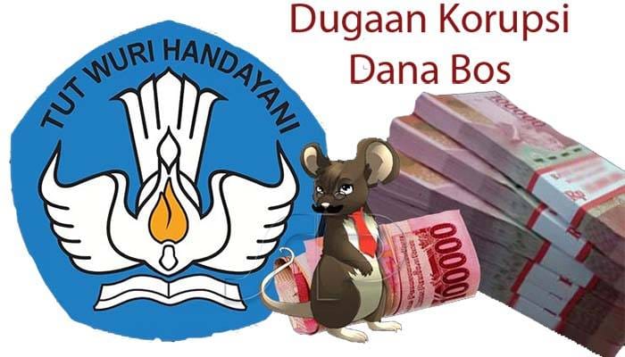 Dugaan Penyimpangan Dana Bosp di SDN 49 Pagar Alam: Rekayasa Laporan, Penyalahgunaan Wewenang Hingga Indikasi KKN: Wali Kota Diminta Bertindak 